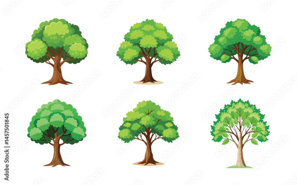 Obraz premium collection of trees