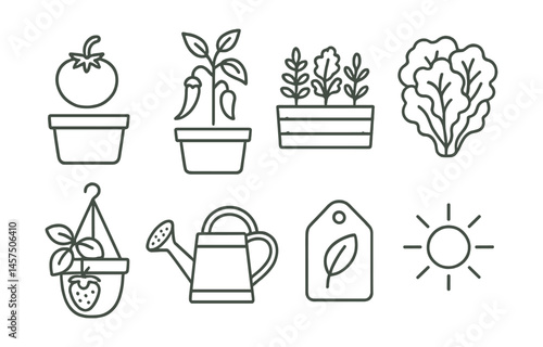 Line style icons of edible balcony garden: tomato in pot, chili plant, herb box tray, lettuce cluster, strawberry hanging pot, watering cup, organic label tag, sun exposure icon.