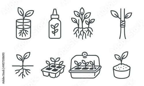 Line style icons of plant propagation: cuttings in water, rooting hormone, division clump, graft union, root sprout, seedling tray, clone dome, starter soil.