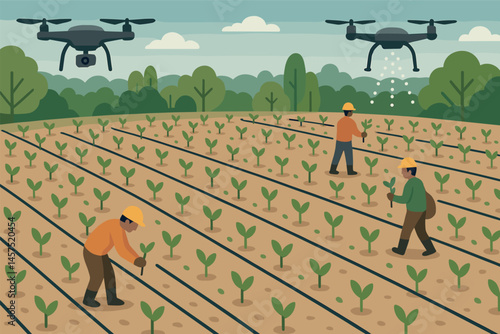 Creating future forests — Vector illustration of drone view over a large-scale sapling grid in reforestation zone with workers and irrigation lines