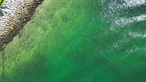 Vertical drone shot of green ocean water in Miami, Florida