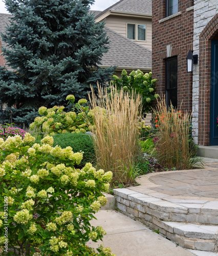 Beautiful Little Lime hydrangea bushes and Karl Foerster feather reed  grasses in full bloom late summer lend a romantic feel and curb appeal to the front entrance of this suburban residence. 