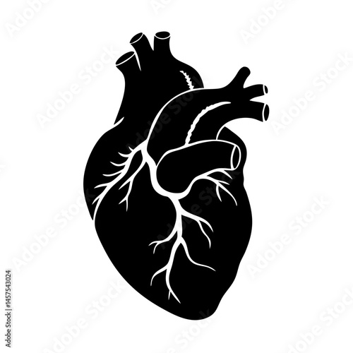 Detailed black silhouette of a human heart with vessels and arteries