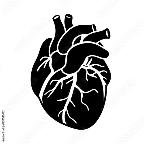 Stylized anatomical heart in black silhouette with arteries and veins depicted