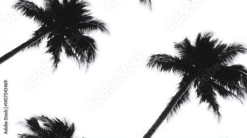Obraz na płótnie Hawaiian Tropical Palm Tree Pattern: Black and White w salonie