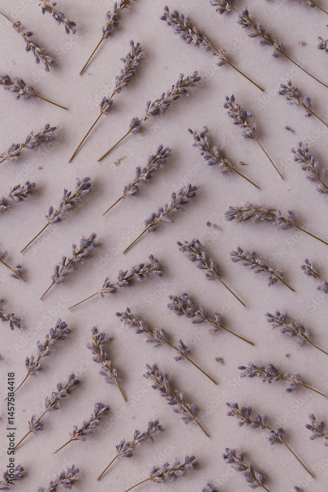 lavender stems arranged in diagonal pattern on soft neutral background