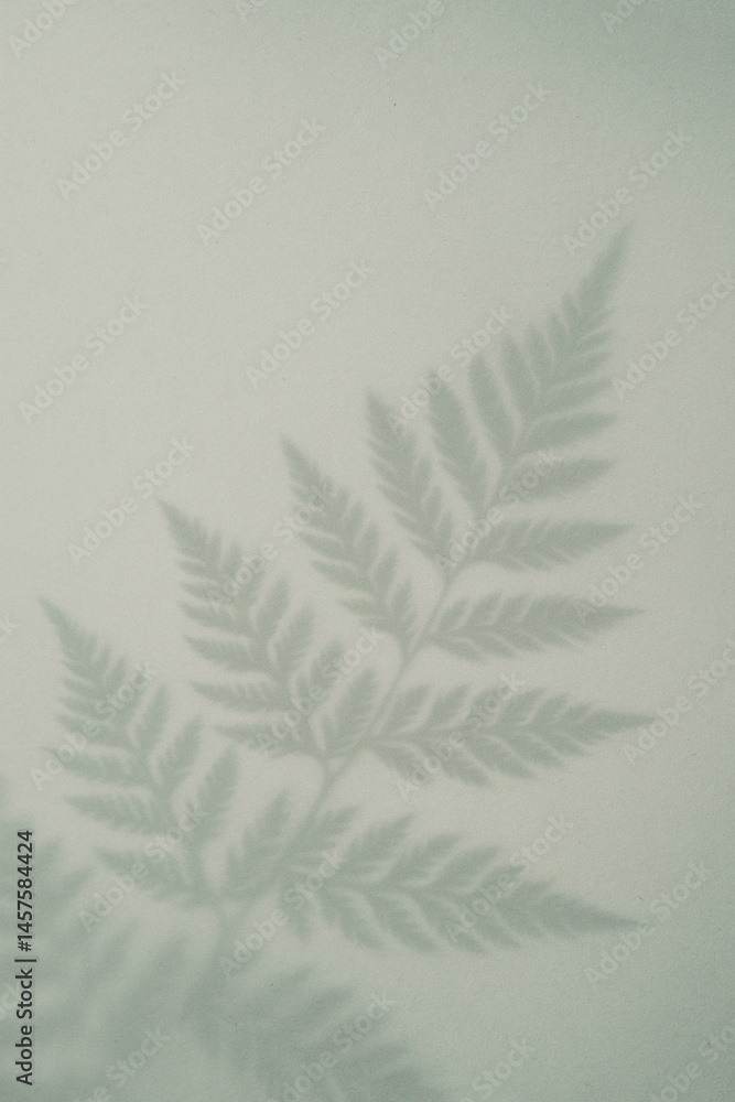 fern leaf shadow on light green background for natural botanical abstract