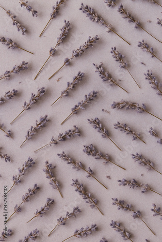Obraz na płótnie lavender stems arranged in diagonal pattern on soft neutral background w salonie