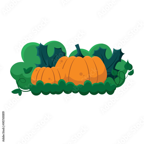 Pumpkins in green foliage. Vector