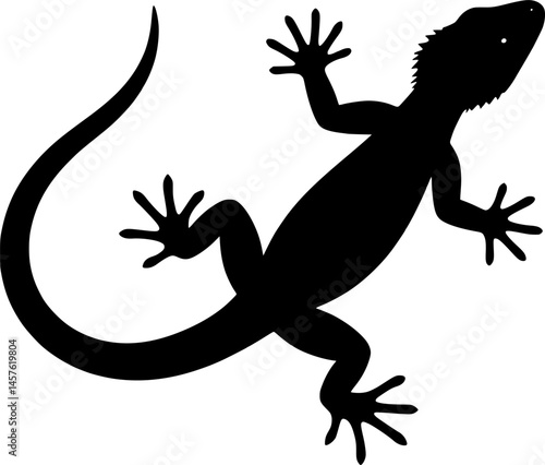 Black isolated silhouette of lizard

