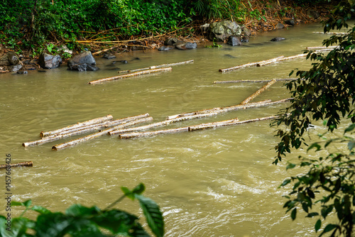 Residents use the river flow to move large amounts of logs by taking advantage of the fast flowing river.