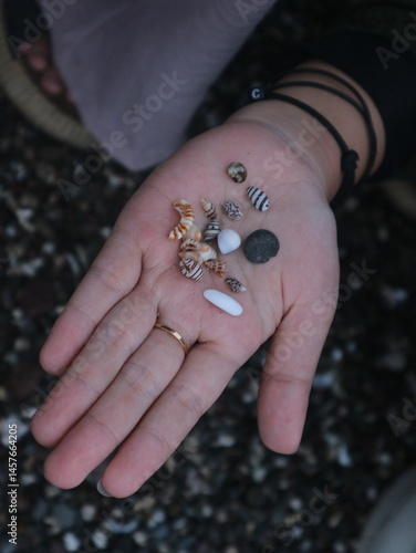 close up of hands with beach creatures