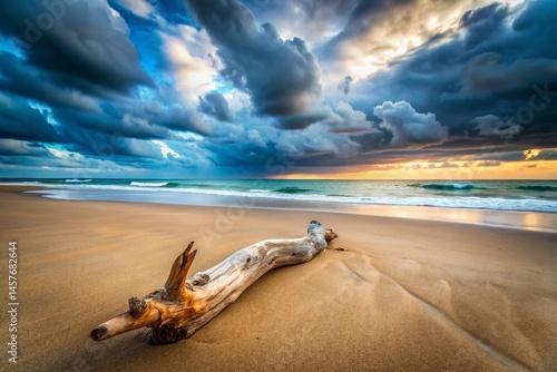 Driftwood Beach Scene: Cloudy Sky, Copy Space Left, Coastal Nature Photography