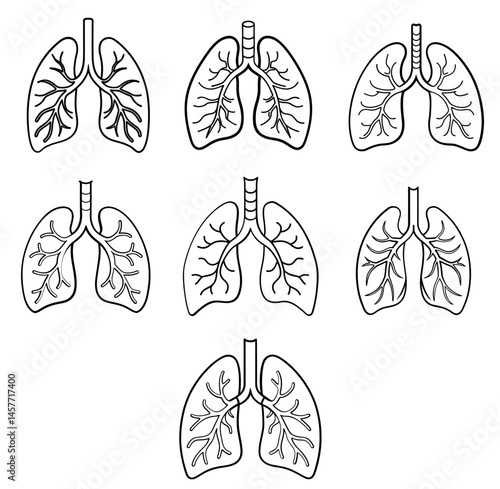 Set Of Lungs icon. Simple solid style. Human internal organ, lung, respiratory system, pulmonology concept. Black silhouette, glyph symbol. Vector illustration