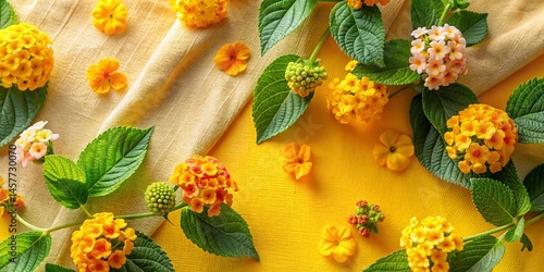 Lantana Flowers Flat Lay: Sunshine Yellow Hues on Twill Fabric
