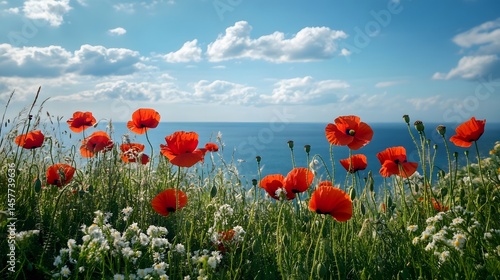 Relaxing Coastal Landscape with Meadow and Wild Poppies by the Sea