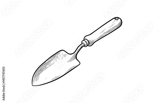 drawing illustration of hand scoop, authentic hand drawn