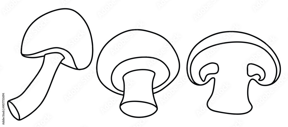 Doodle set of cute Hand drawn outline mushroom champignon vector. Doodle set of cute Hand drawn outline mushroom champignon vector.