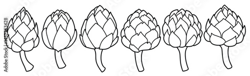 Doodle set of cute Hand drawn outline artichoke vector.