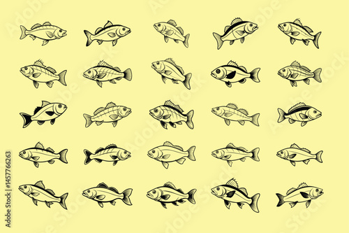 sea bass fish design, labeled line art vector silhouette illustration.