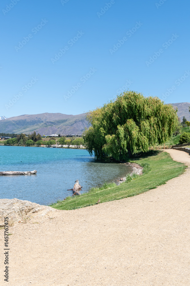 Fototapeta premium Driftwood logs near path around water's edge of Lake Dunstan in Heritage District of Cromwell