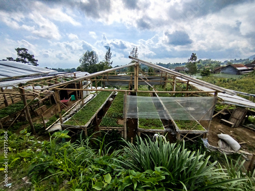 place for planting vegetable seeds in mountainous areas