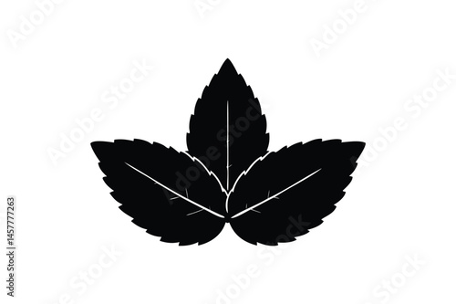 Spearmint icon silhouette on white background