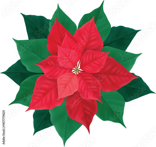 Merry Christmas nad xmas