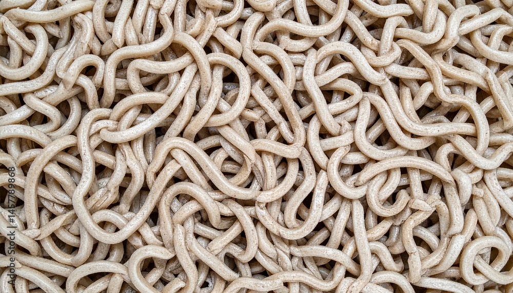 日本料理のうどん 日本料理のうどん