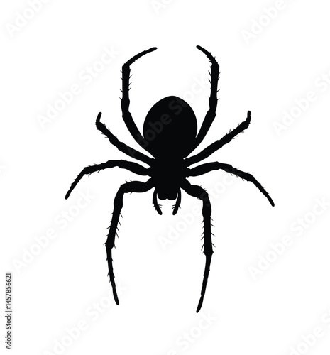 Spider silhouette. This image shows a black silhouette of a spider, an arachnid known for its eight legs, web-spinning abilities, and eerie appearance. Vector clipart illustration design.