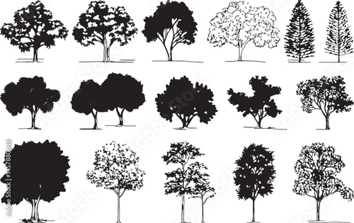 Tree Silhouettes, Black and White Vector Illustration.