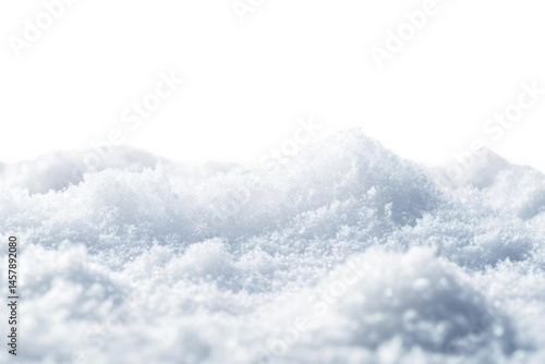 Winter, Snowy Landscape with black sky and a fluffy White Blankets
