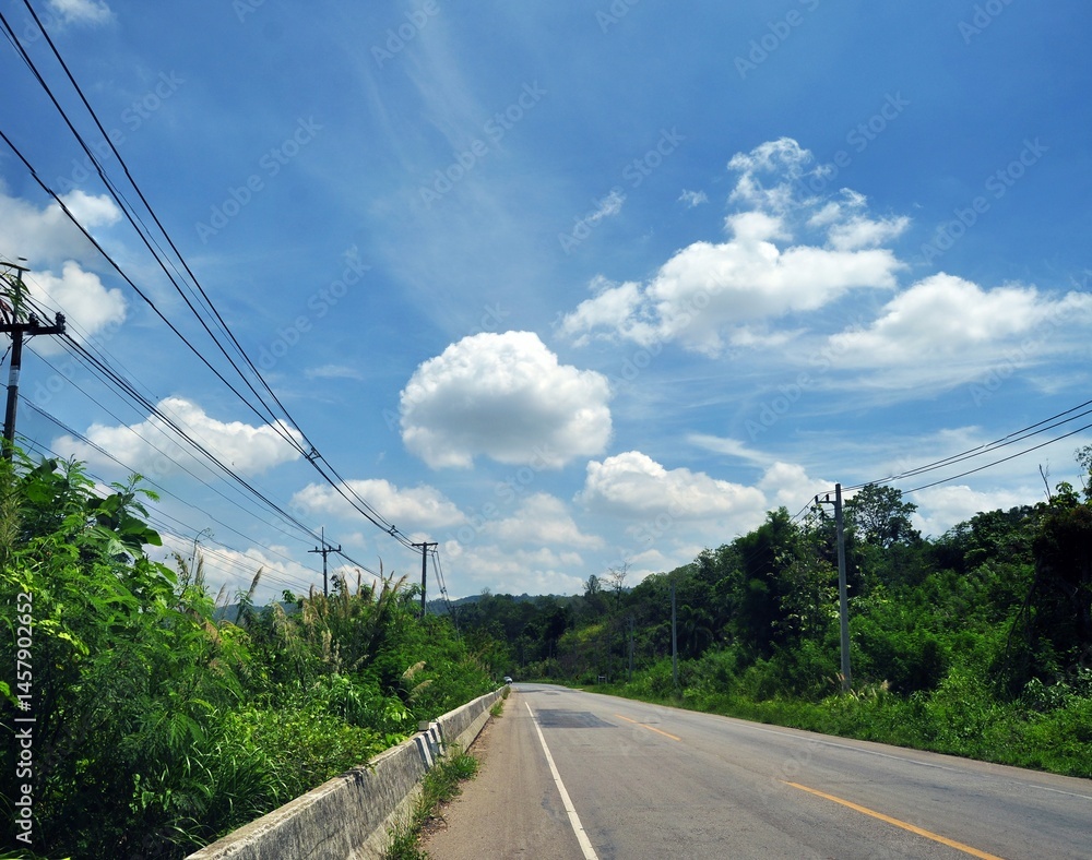 the road to the mountains