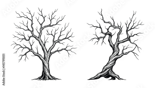 Bare tree branches in winter season nature illustration art