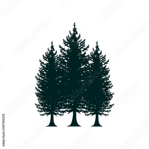 cedar tree logo design,vintage,wood,retro,green,decoration,white,badge,label,vintage,drawing,mountain,wild,leaf,winter,cedar