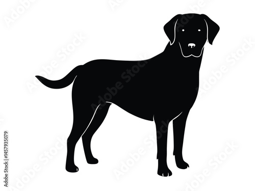 Labrador silhouette EPS, Labrador Retriever silhouette vector illustration