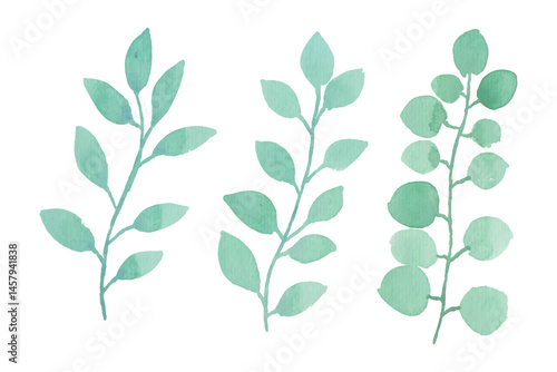 Assortment of watercolor leaves illustration set - green leaf branches collection for wedding, greetings, stationary, wallpapers, fashion, background. olive, green leaves, Eucalyptus etc