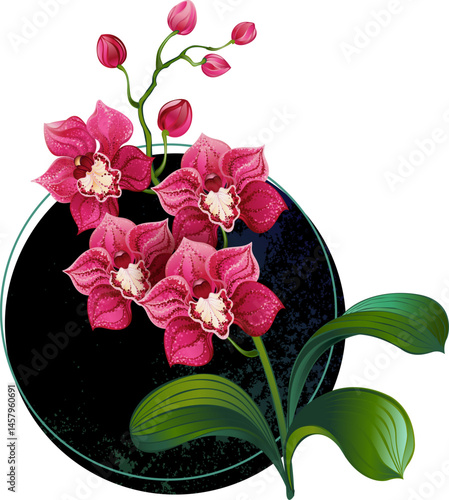 Artistically drawn lushly blooming orchid with pink flowers and green leaves on black circle background. Pink orchid.