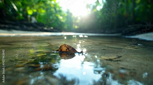 Serene River Habitat Facing Degradation and Pollution Challenges