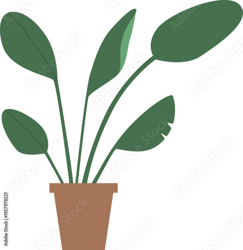 Green flower leaves in pot