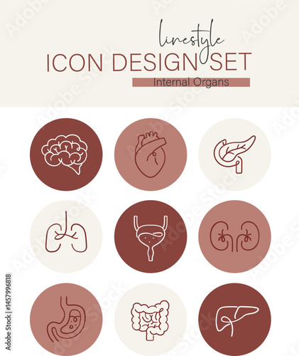 Linestyle Icon Design Set internal organs