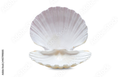 Photos opened pearl shell isolated on white background
