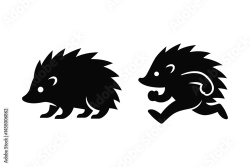 Hedgehog vector
