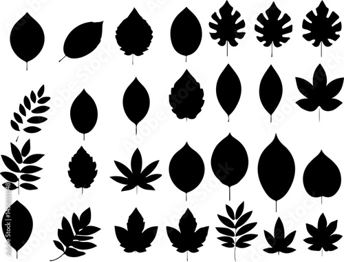 set of black silhouettes of leaves
