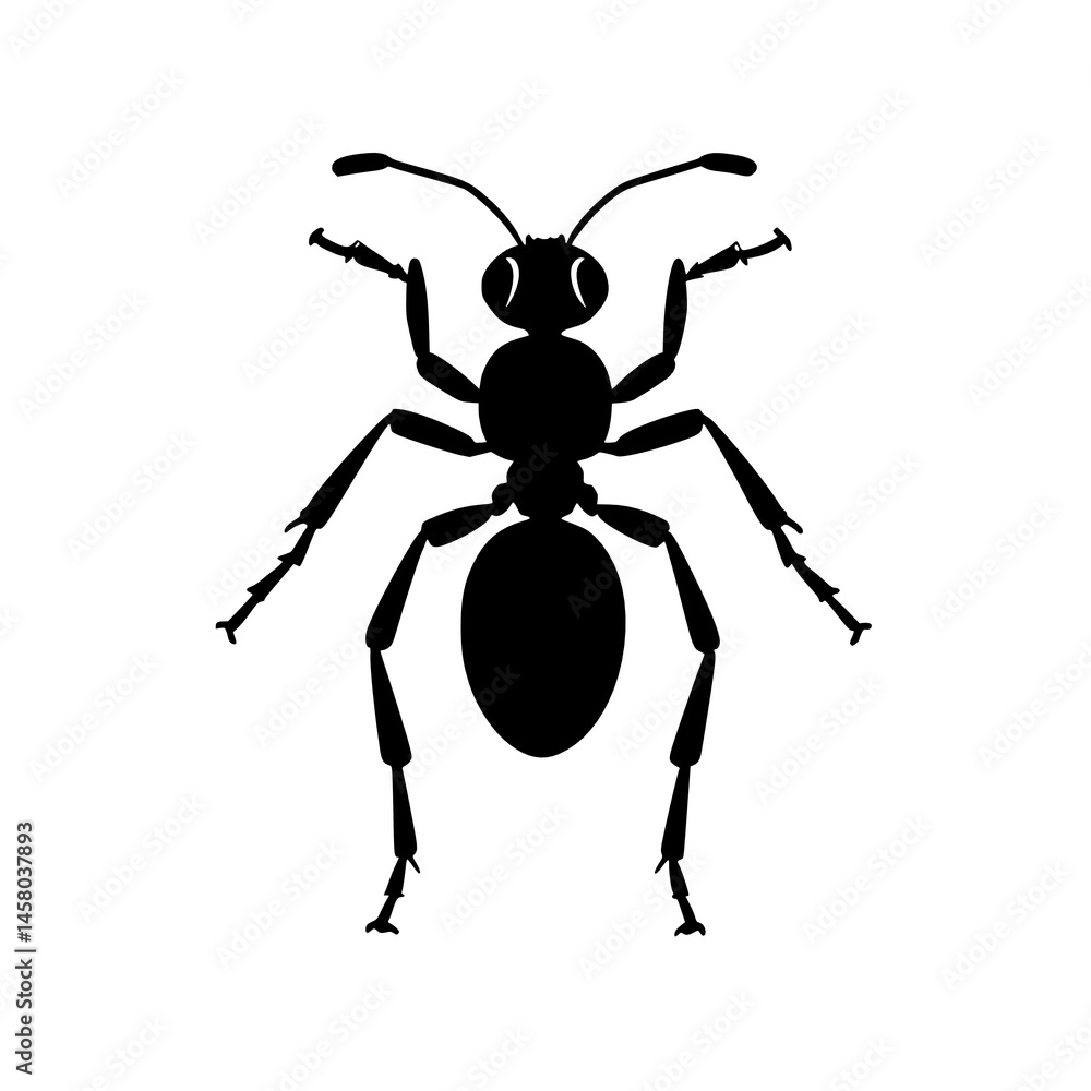 black ant isolated on white background. illustration.