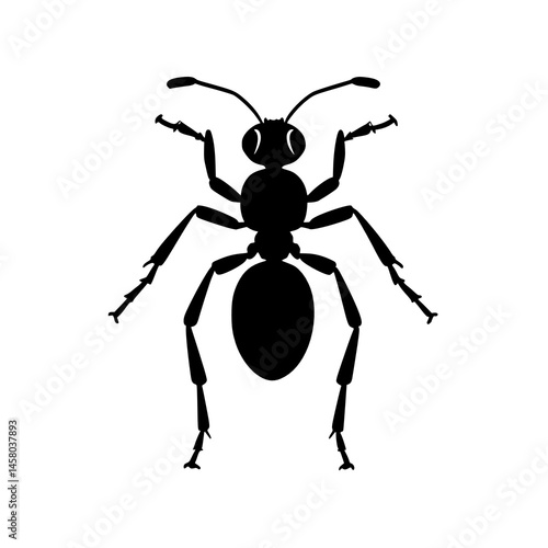 black ant isolated on white background. illustration.