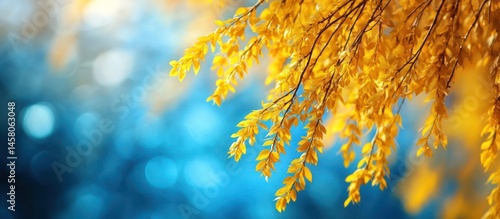 Golden Leaves Hanging on Branches Against Blue Sky