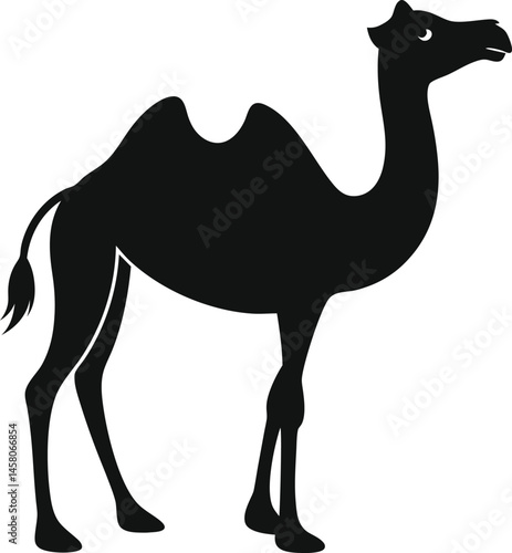 Camel Vector 