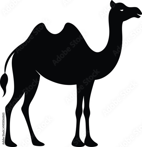 Camel Vector 