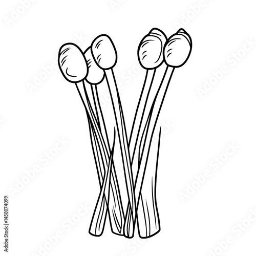 Cotton Swabs Sketch in Line Art Style on White Background  